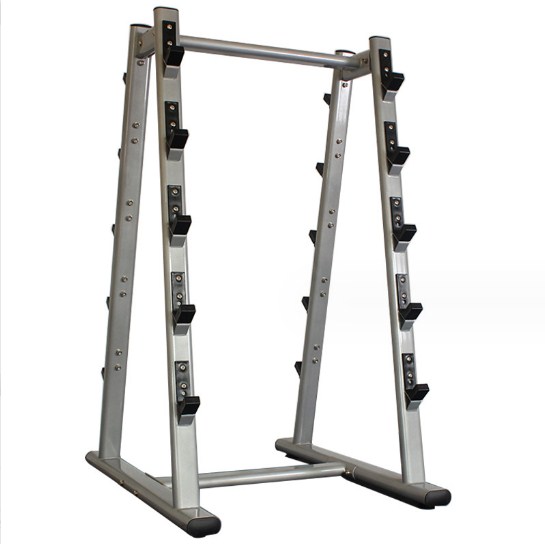 Fixed Barbell Storage Rack Chi - Barbell Curl Bar recension och pris