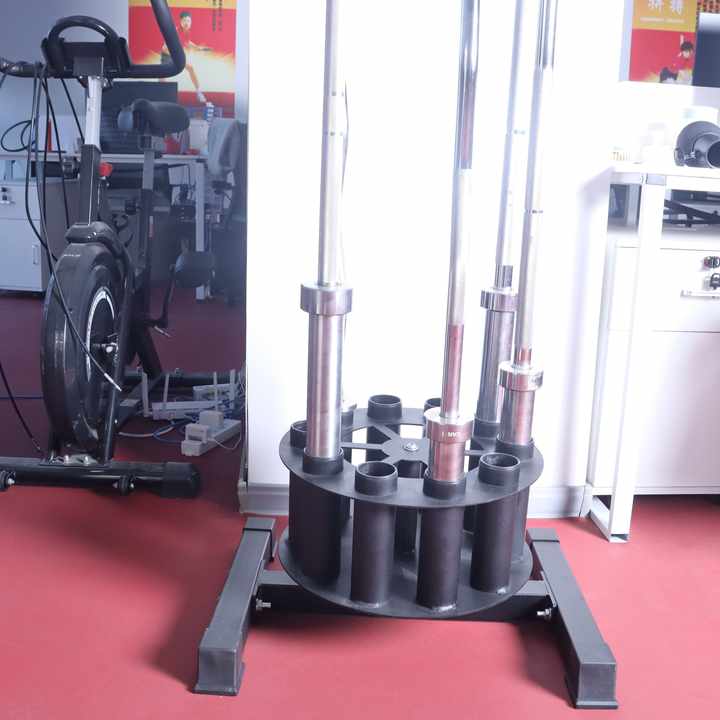 Barbell Holder Storage & Organ - Barbell Curl Bar recension och pris